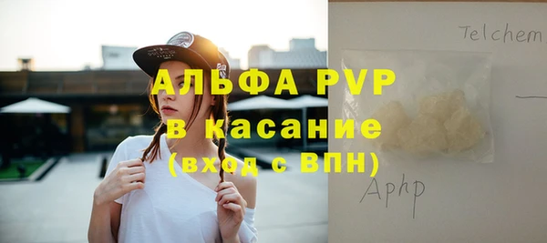 apvp Инсар