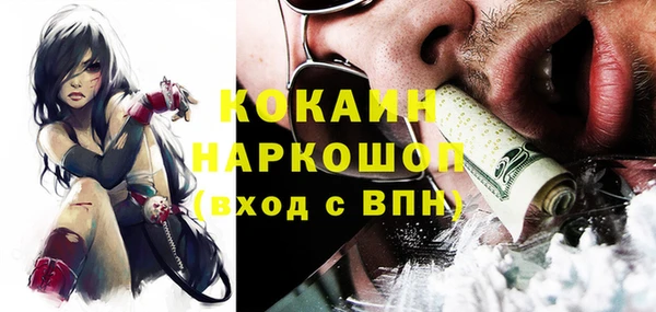 apvp Инсар