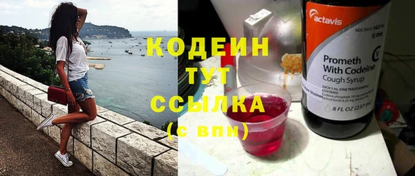 метадон Инта