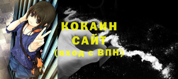 метадон Инта
