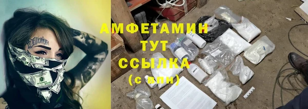 метадон Инта