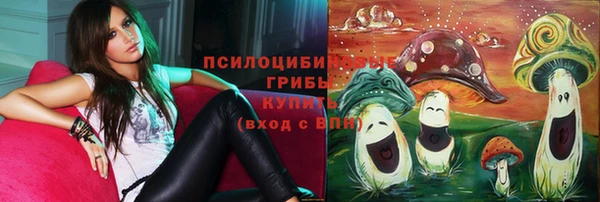 apvp Инсар