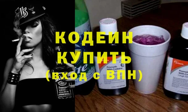 apvp Инсар